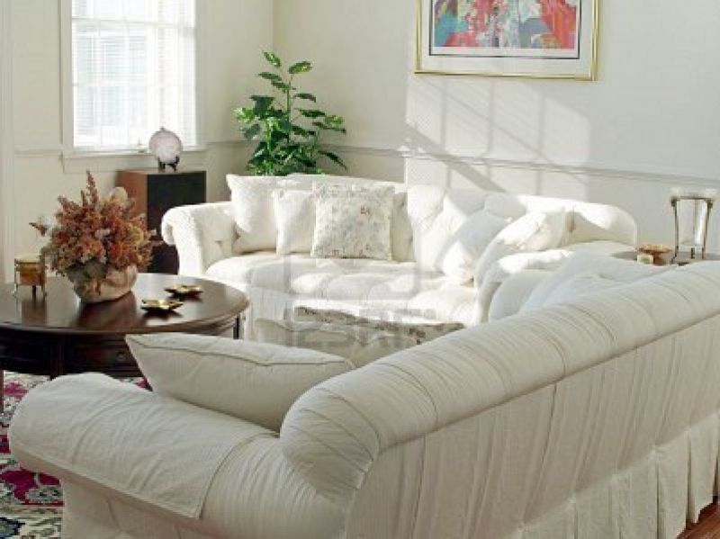 2398138_interior_decor_and_furnishings_of_modern_living_room_with_sunlight_drawing_attention_to_sofa.jpg