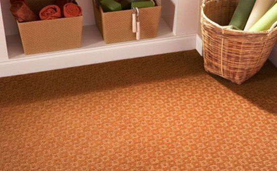 orange_carpet_for_hallway_by_stainmaster.jpg