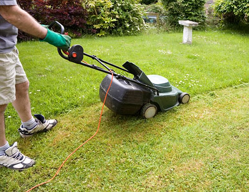 5_electric_mower_lg.jpg