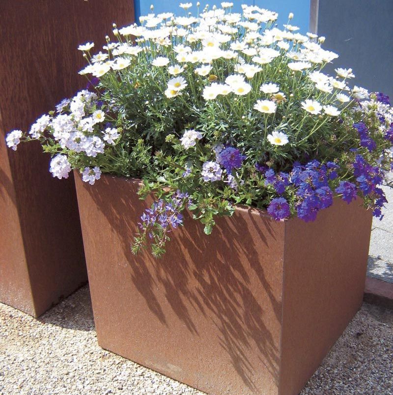 md_279_akl_grmaste_marjete_4h.jpg