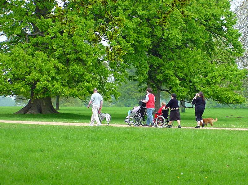 people_walking_in_park_jt.jpg