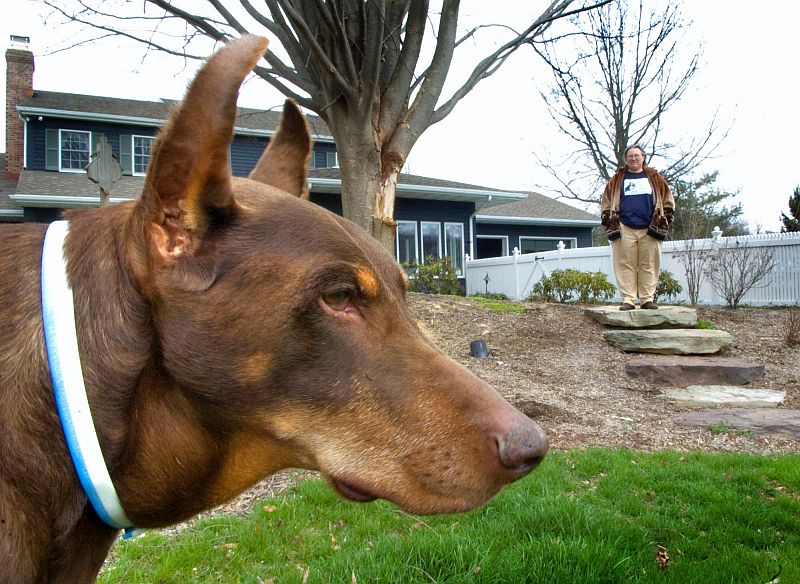 pet_sitter_bhj.jpg