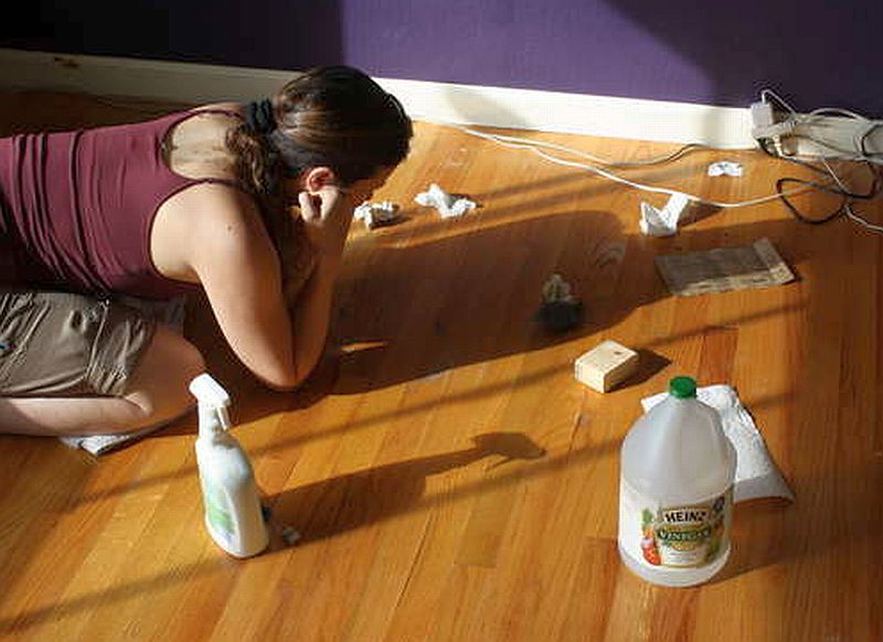 try_wiping_up_the_mold.jpg