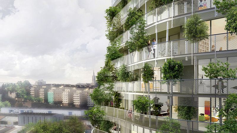 vegetable_de_nantes_3.jpg