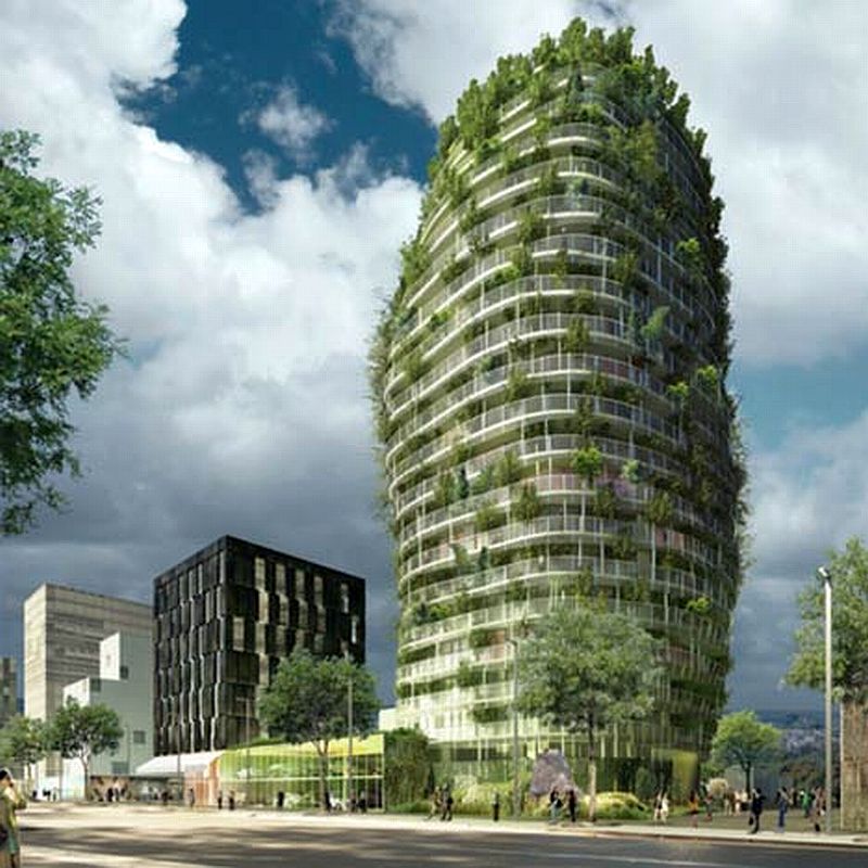 vegetable_de_nantes_5.jpg