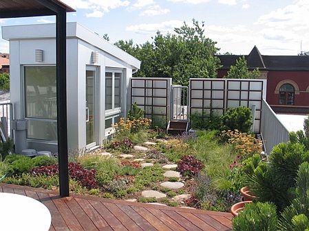 final_plantings_002.jpg