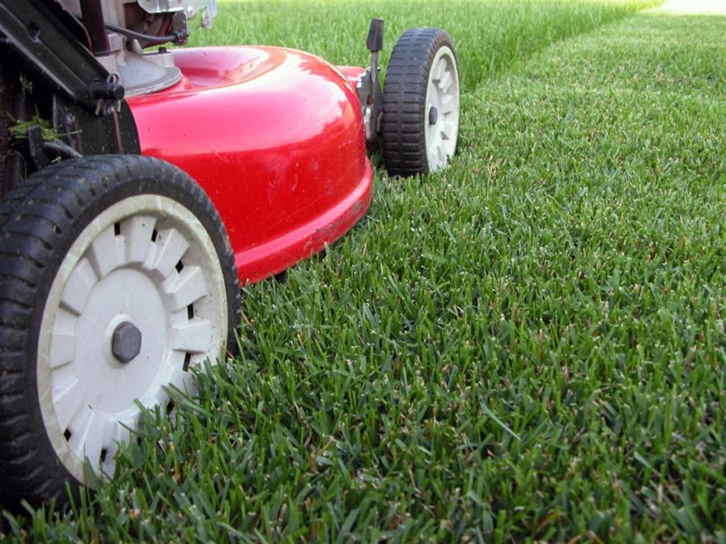 grass_cutting_large.jpg