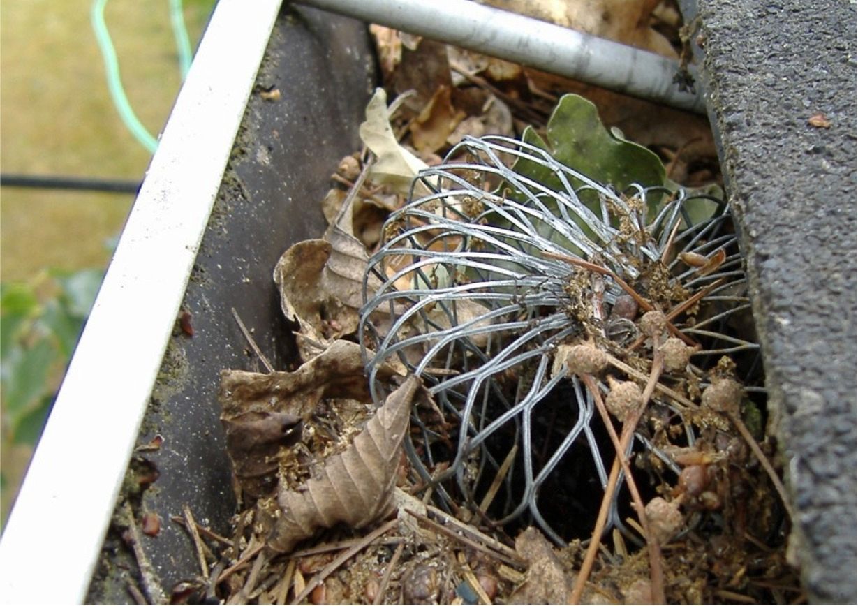 gutter_2.jpg