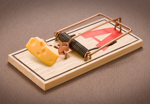 mouse_trap.jpg