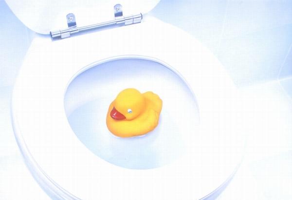 pato_purific_toilet_cleaning_product_duck_small_43825.jpg