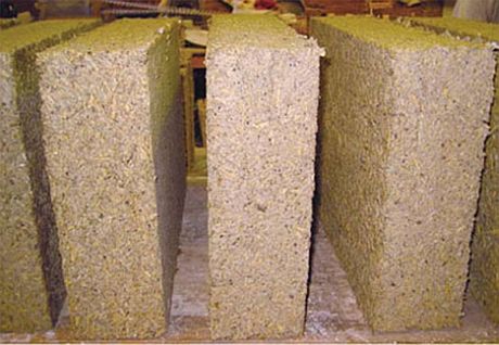betonkonoplja.jpg