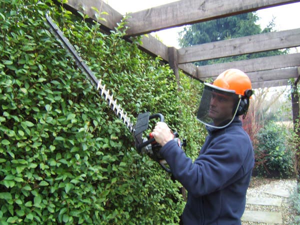 ahm2_hedge_trimming_1.jpg