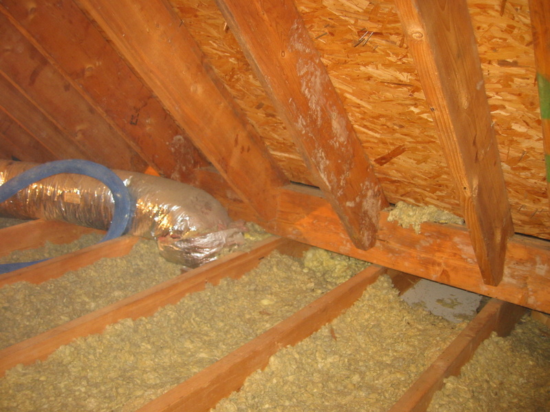 insulating_daves_home_005.jpg