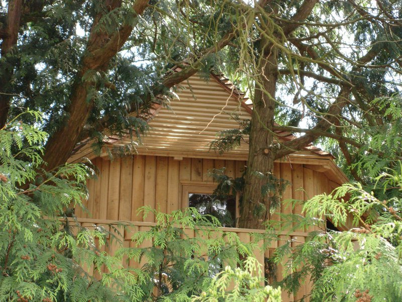 oak_tree_house.jpg