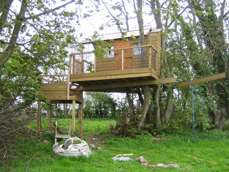 treehouse1.jpg