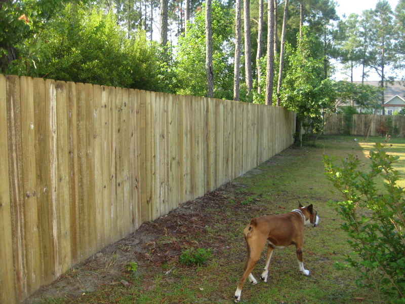 working_on_fence_4.jpg