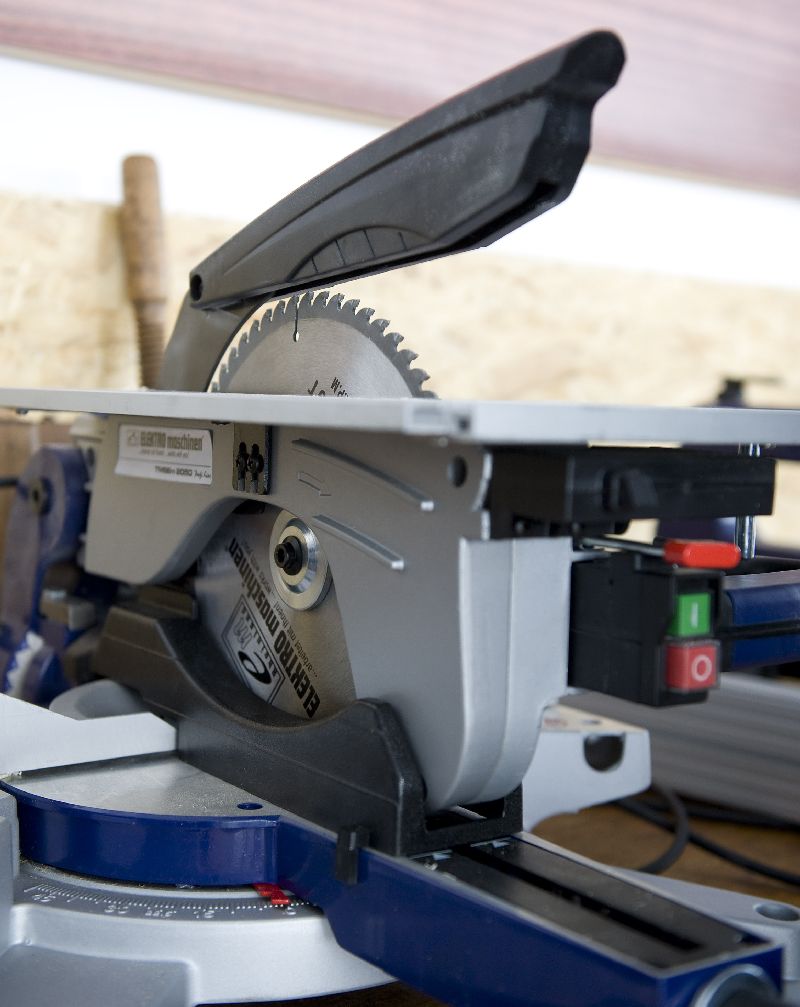 dilex_271_5.jpg
