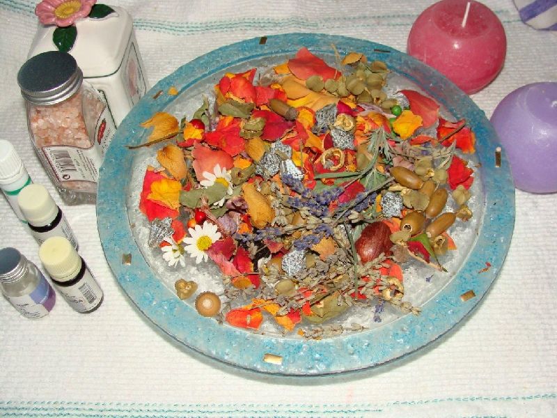 remic_sivka6.jpg