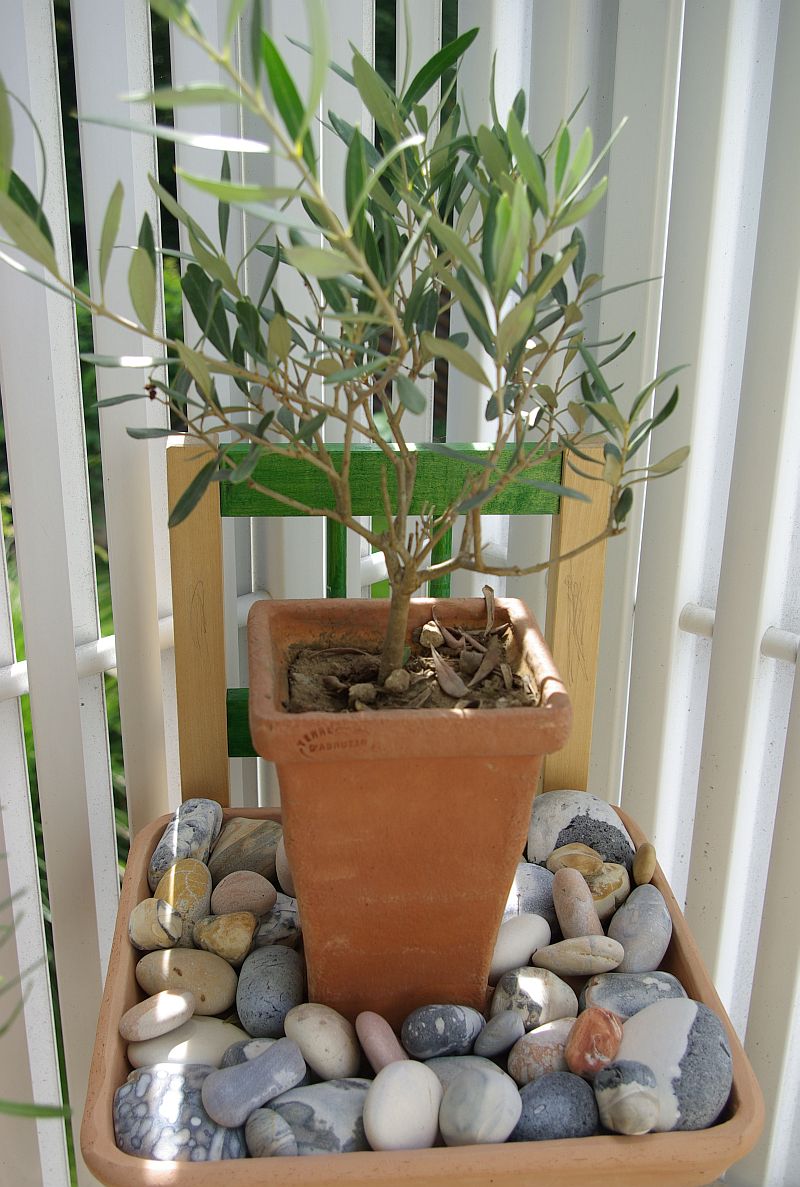 vastu3.jpg