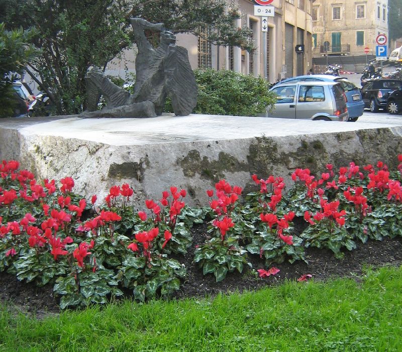 vrt_270_3.jpg