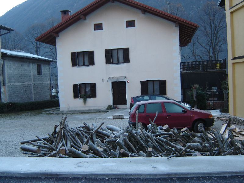 zelena_zavesa2.jpg
