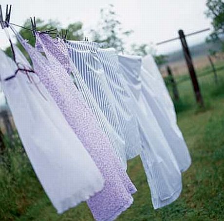 hang_laundry_tp_lg.jpg