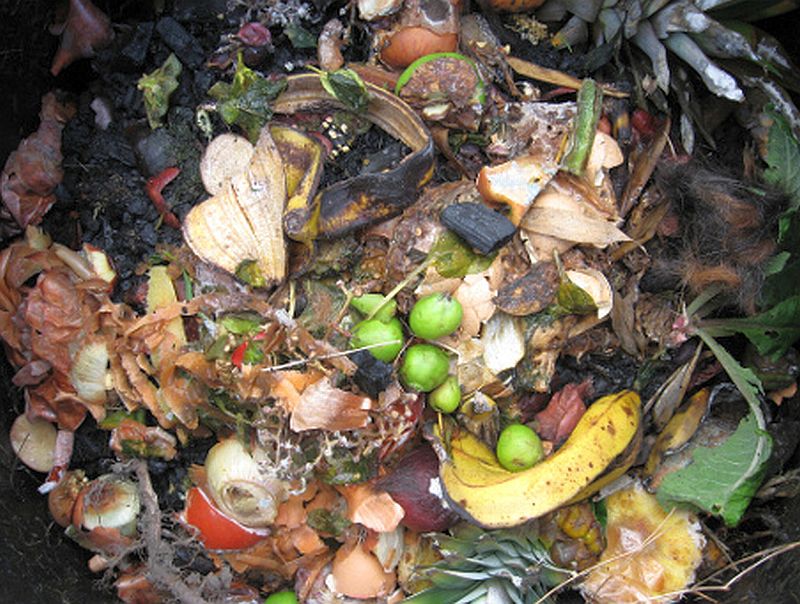 food_waste_compost.jpg