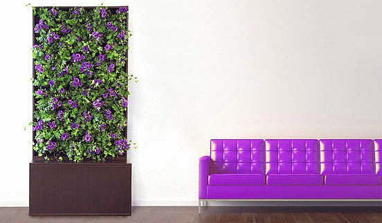 how_to_adapt_indoor_plants_to_your_decor_smartwall_2.jpg