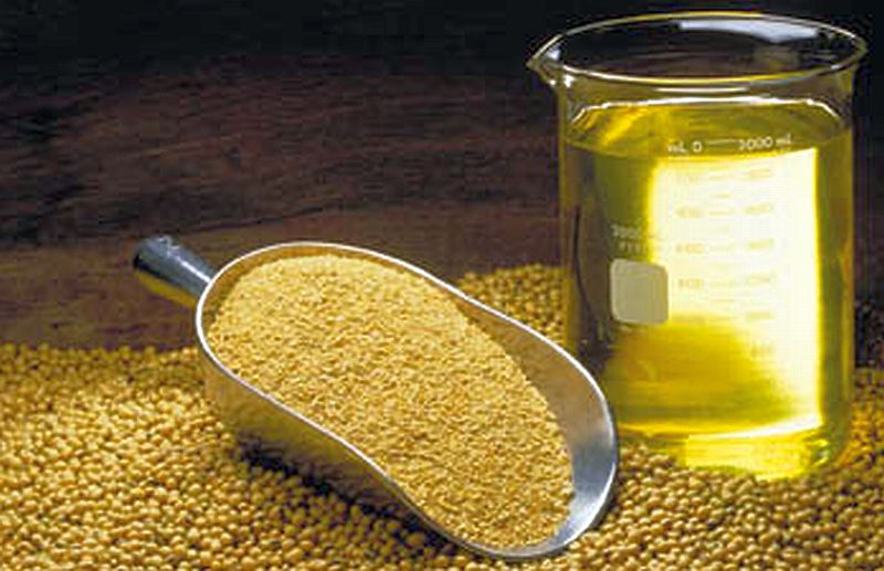 soybean_oil_plant.jpg