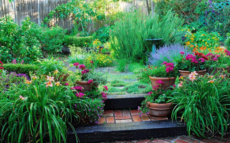 backyard_herb_garden.jpg