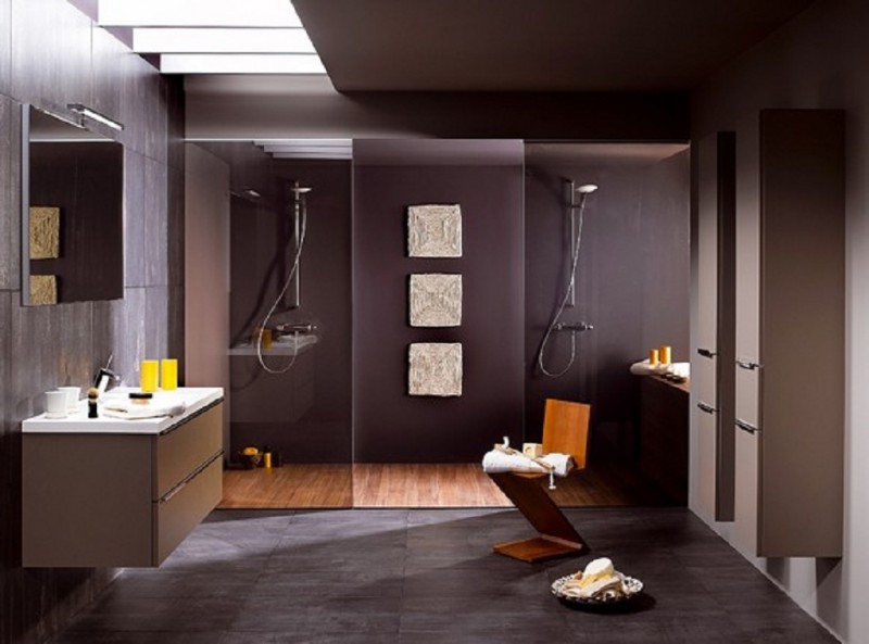 deluxe_minimalist_bathroom_with_skylight_800x593.jpg