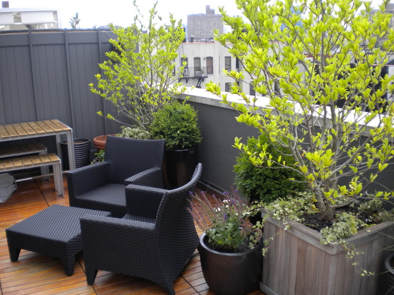jeffrey_erb_landscape_design_new_york_city_rooftop_garden_2.jpg